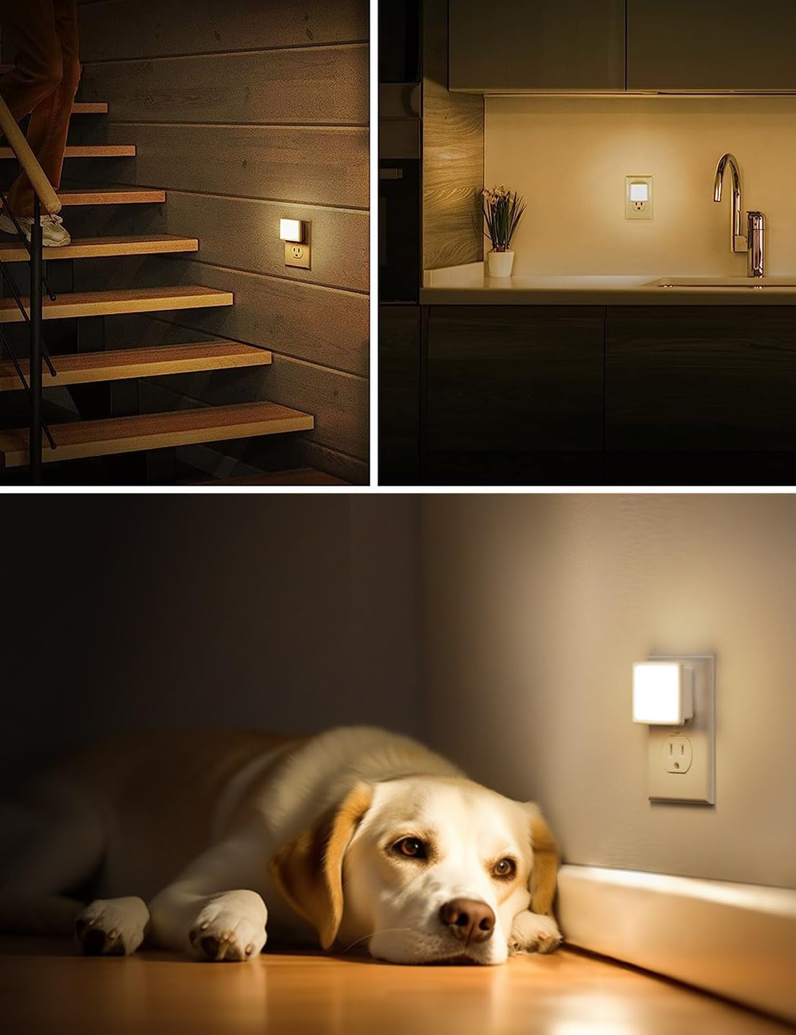 LED Night Lights Plug into Wall 2-Pack