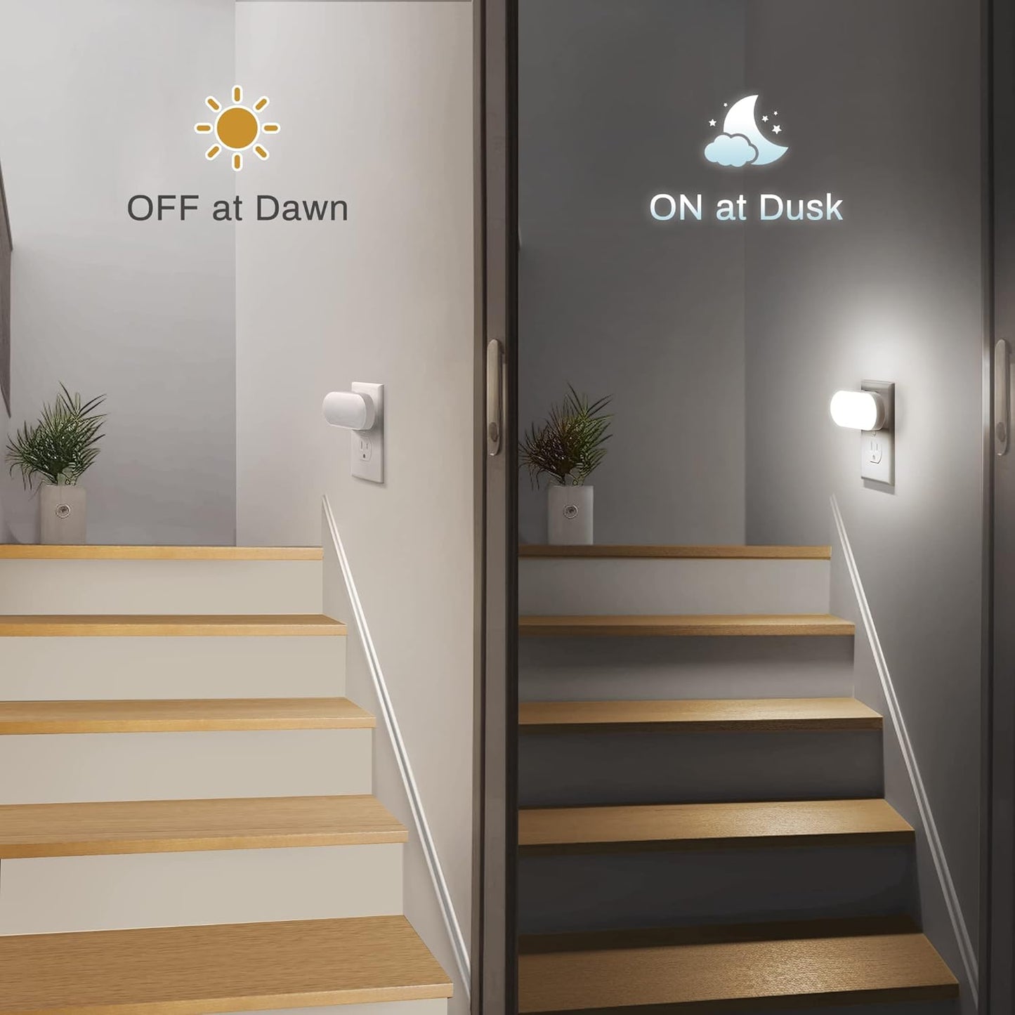 Led Night Light, Plug into Wall